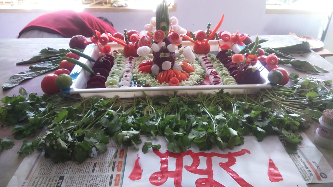 Ursuline Girls Higher Secondary School Ambikapur